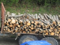 Може да си купите лека кола на дърва и то на тънка цена СНИМКИ