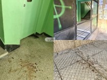 Зловещ екшън окървави вход в пловдивски блок СНИМКИ 18+