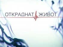 Търсят проститутки за „Откраднат живот“