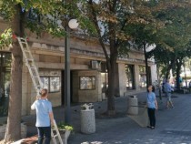 Голям екшън в Бургас с беглец на дърво СНИМКИ