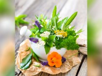 Наш лечител: Тези билкови мехлеми помагат при рани, вени, гъбички