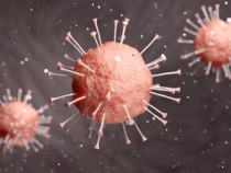 Този витамин помага при коронавирус