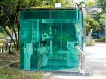 Разкриха защо обществените тоалетни в парковете в Япония са прозрачни СНИМКИ