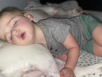 Родители сложиха камера в стаята на 2-годишния си син и онемяха от видяното