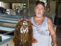 Рибар извади истинско чудовище от реката СНИМКА