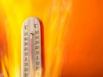 Рекордни температури и жесток мор в Кипър