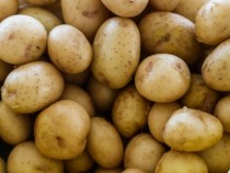 Не съхранявайте така картофите, това може да ви убие