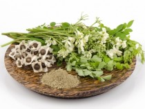 Истинските суперхрани са само 3 в цял свят. Кои са те?