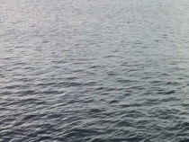 Варненец забрави да остави колата си на скорост и … Такова нещо рядко може да се види! (СНИМКА)