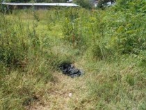 Шок край Банско: Откриха в храстите полугола и кална тийнейджърка! Момичето разказа, че …