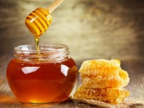 Наричат го "Дарът на вечността", защото ползите от него са неизброими (ВИДЕО)