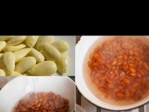 Ето на ТОВА всеки онколог трябва да учи пациентите си! Храна, която лекува – прочетете и споделете