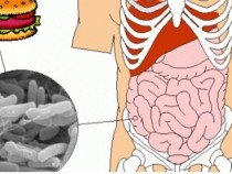Природен лек чисти стомаха от натрупаните отрови