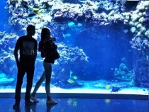 Шавливата Алекс показа секси бедър и гърди в Монако в прозрачен бански! (СНИМКИ 18+)