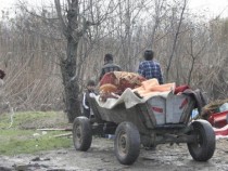 Нови незаконни ромски бараки изникнаха до Околовръстното в София