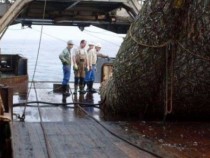 Това, което уловиха тези рибари, накара всички да ахнат (СНИМКИ)