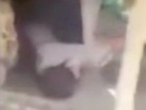 Джихадист се навря в кокошарник в опит да се скрие от иракските войници (ВИДЕО)