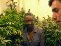 Старица инвалид превърна дома си в наркоплантация, изкарва по 400 000 паунда годишно от марихуана (СНИМКИ)